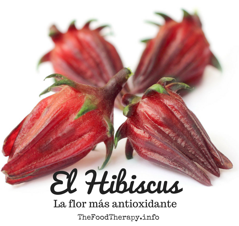 La antioxidante flor de Hibiscus | The Food Therapy